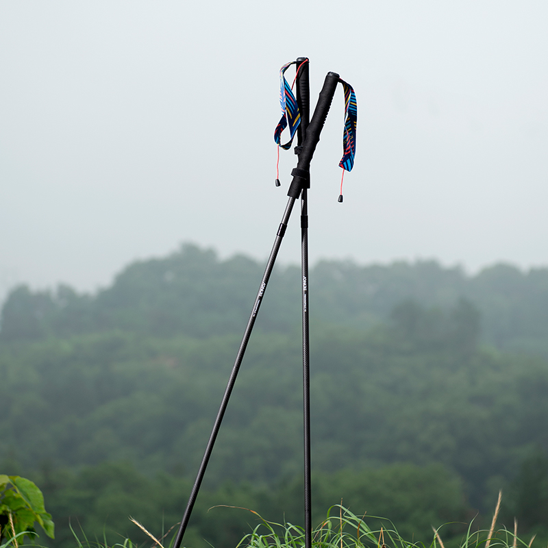 2 шт. AONIJIE Новые складные т – обзор и цена Trekking Pole Carbon